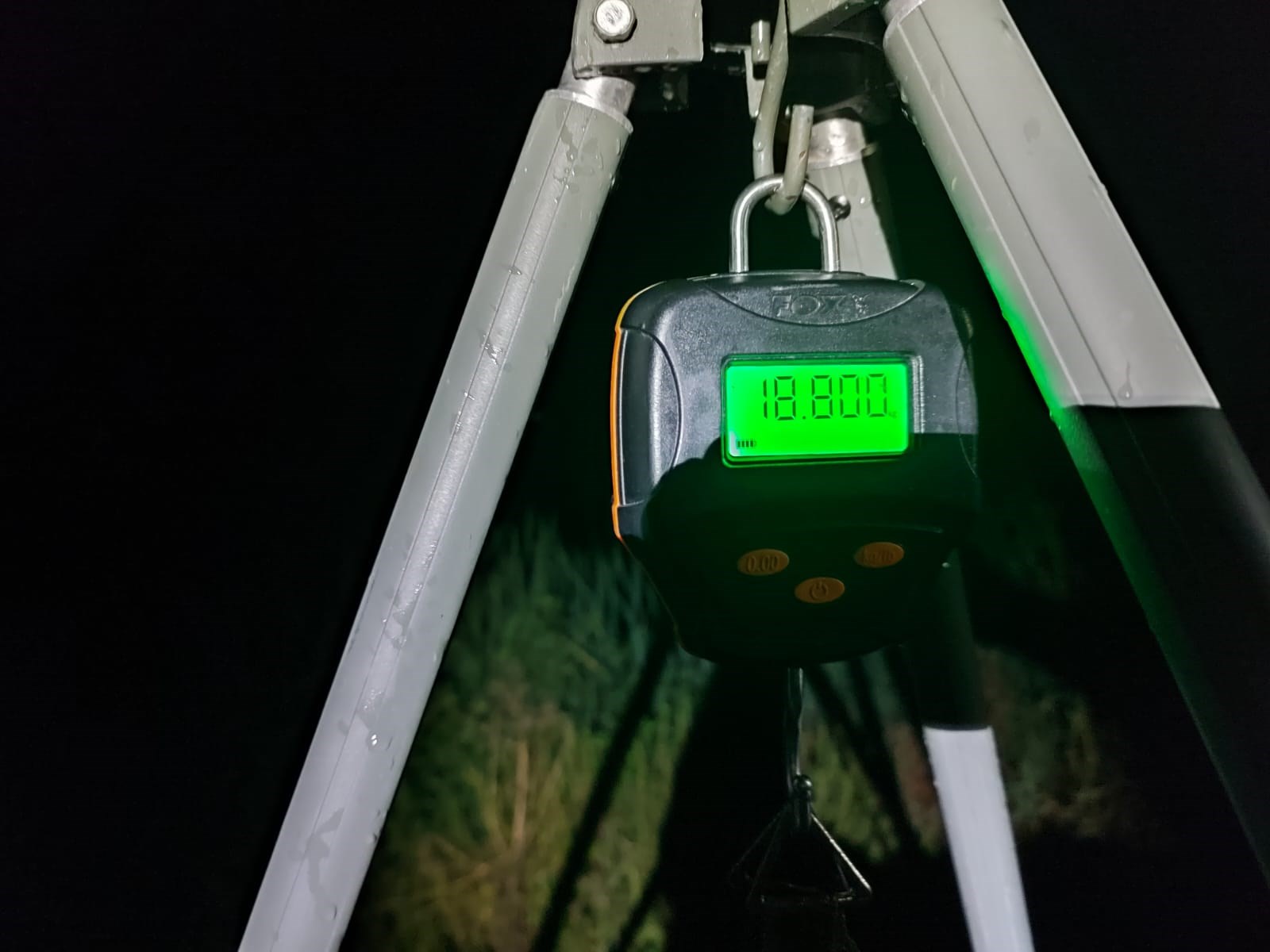 Sacosul Turcesc 2022 - IMG20220908WA0042.jpg